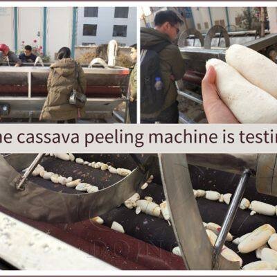 2026 New Arrival Cassava Processing Machine in Nigerian Warehouse Cassava Peeler for Garri/Flour Making Eplucheur De Manioc