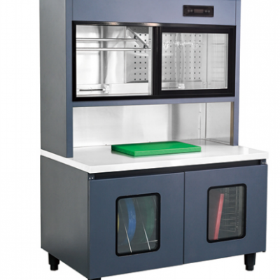 Industrieküchen-Desinfektionsschrank mit 1,2 kW Lüfterleistung und Temperaturbereich von 30-125 °C