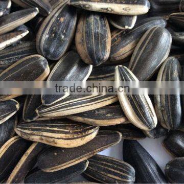 sell sunflwoer seeds sunflower seed market price sunflower seed ton price