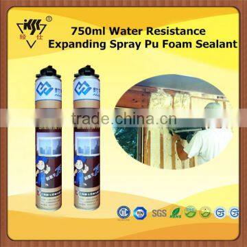 750ml Water Resistance Expanding Spray Pu Foam Sealant