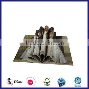 Cheap Art Paper Professional Leaflet