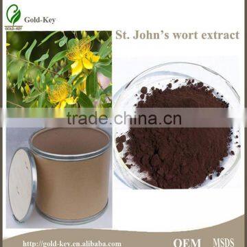 St.John's Wort Extract Powder in Herb Plant Extract