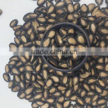 Black Watermelon Hybrid Seeds photo-3