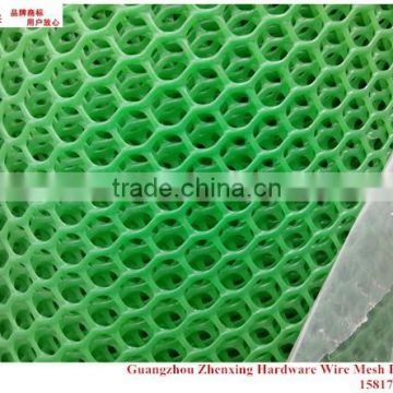 Wholesale alibaba poultry farming HDPE plastic mesh ZX-SLW06                        
                                                Quality Choice