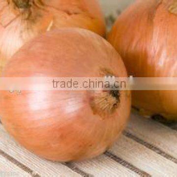 market price for red onion