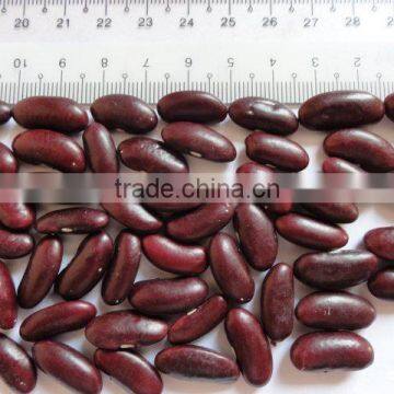 Red kidney beans