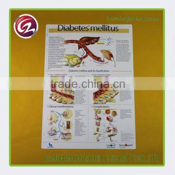 Latest style 3d pvc poster medical chart