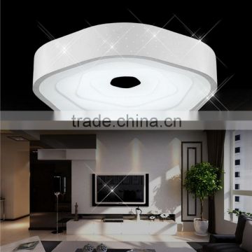 JEVEYA Lighting Modern Ceiling Lamp 220V Imported LED Ceiling Lamp