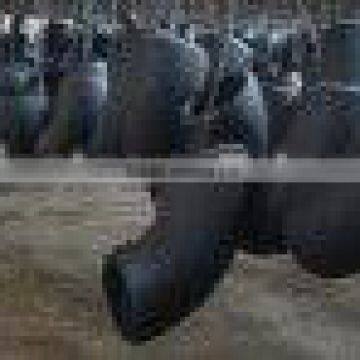 Alloy Steel Elbow