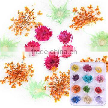 2016 High Quality Fashion Nail Art dry flower 3D nail art decorations