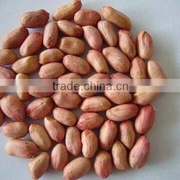 Peanut Kernels 38-42, 28-32, 24-28 photo-3