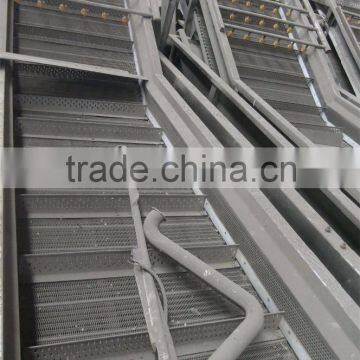 Brush Type Vegetable and Fruit Washing Machine photo-2