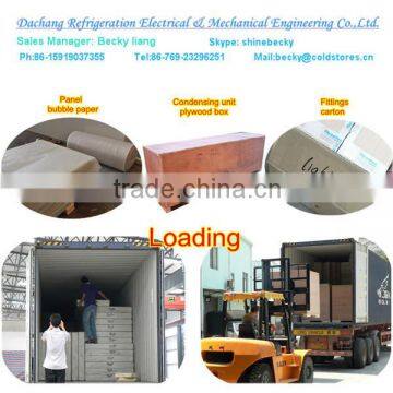 Standard Freezer Room DCWF-15 to Store Meat,chicken and Fish photo-6