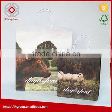 Paper Bag With Twist Handle, Kraft Paper Bag,paper Bag Printing