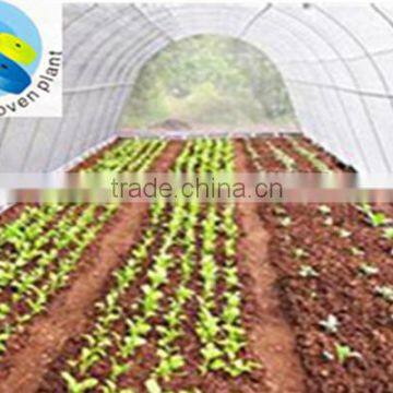 Agriculture nonwoven fabric, Eco-friendly Polypropylene nonwoven fabric with high quality