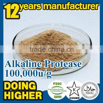 Alkaline Protease Apply to Membrane Washing Detergent Protease Alkaline Enzyme Washing Alkaline Enzyme