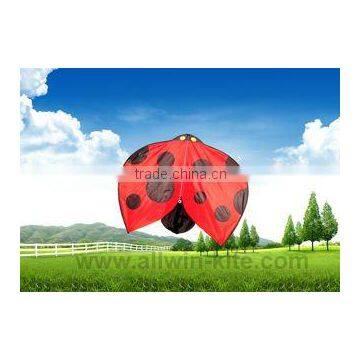 Flying Ladybird Kites