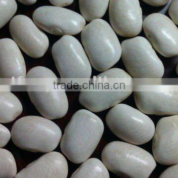 White Kidney Bean( medium white kidney bean)