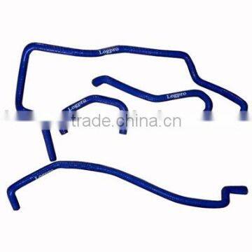 Auto silicone hose (LG-DS06)