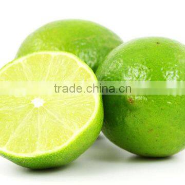 Fresh Guntur Lemon Supplier