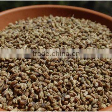 CELERY SEED / BISHOP SEED