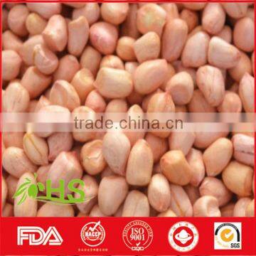 2016 New Crop Fresh Blanched Peanut Kernels photo-3