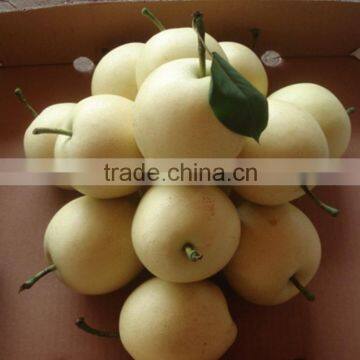 China hebei Manufacturer of crown pear for european market