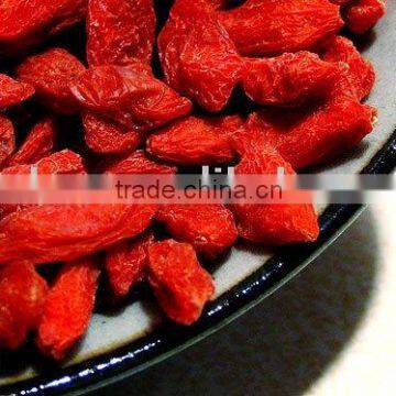 China best supplier provide SIZE 220 250 280 350 380 450 500 grains per 50g Goji P.E.