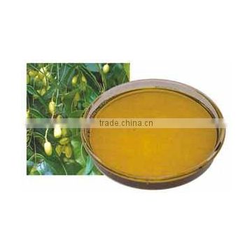 NEEM EXTRACT NEEM OIL