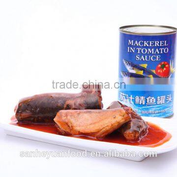 Good taste canned mackerel in tomato sauce