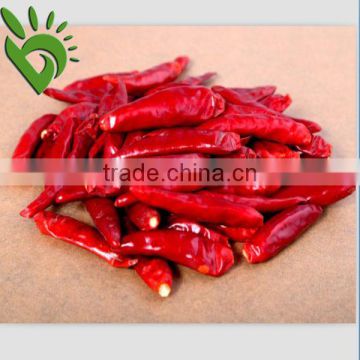 Dry Red Chilli