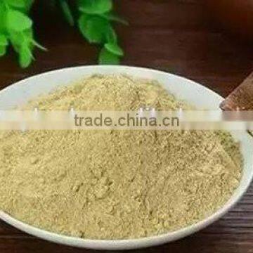 Organic Panax Ginseng Extract Powder