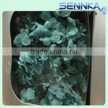 Exquisitely Colorful Wedding and Party Decoration Mini Preserved Hydrangea