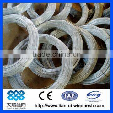Electro Galvanized Soft Iron Wire/Hot Dipped Galvanized Iron Wire photo-4