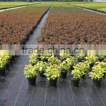 Weed Control Fabric pp Woven Weed Mat