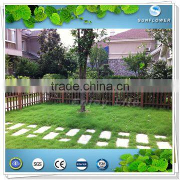 Outdoor Solid Wood Plastic Composite WPC Decking/WPC Flooring photo-3