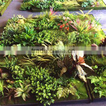 Home garden wedding decoration 200cm*100cm green original succulent with moss carpet grass wall E03 0502