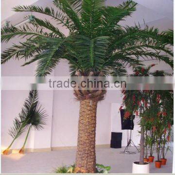 Home Garden Edging Decorative 5ft to 16ft Height Outdoor Artificial Green Plastic Palm Trees EDS06 0803