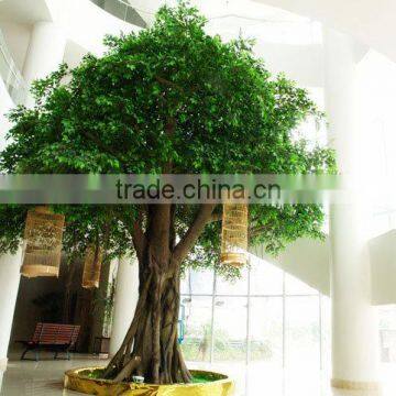 Fiberglass Big Ficus Tree photo-6
