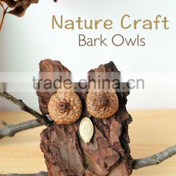 Natural Hanging Tree Birch Bark Ornaments photo-6