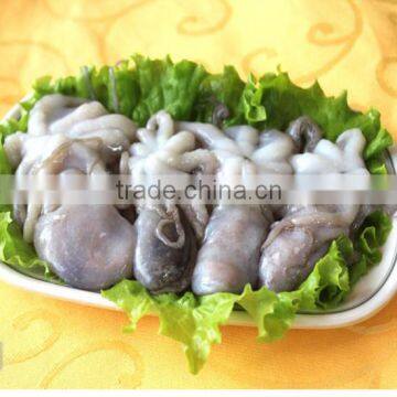 Frozen HACCP ISO FDA Baby Octopus