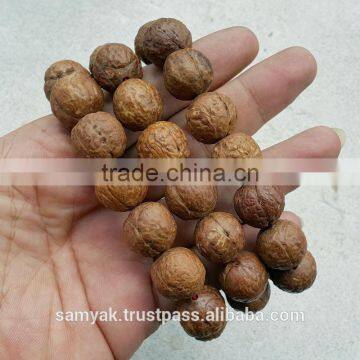 Buddha Chitta 14 Beads Bodhi Seed Genuine Indonesian Phoenix Eye Mala Phrengba photo-5