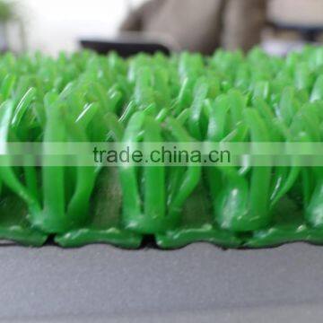 pe Garden Grass photo-2