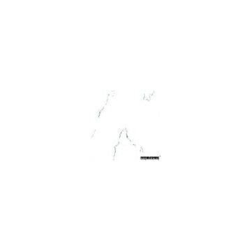 Sell Super White Tile