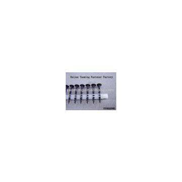 Philip Head Drywall Screws