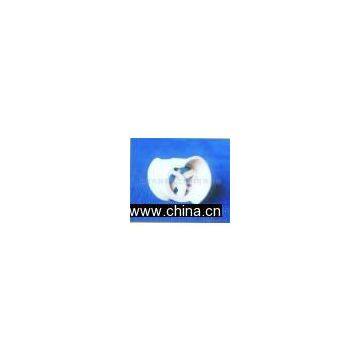Acid-resistant Ceramic Rings (random) Packing-conjugate Ring