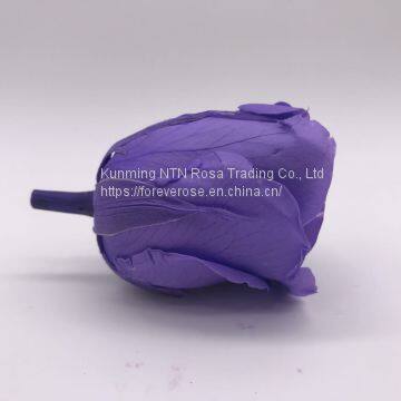 Preserved Fresh Roses Flower for Home Decoration photo-3
