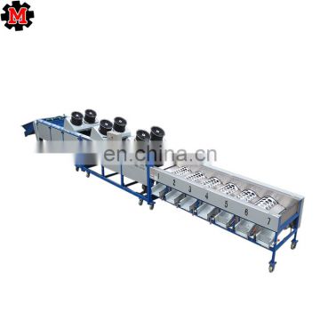 Fruit & Vegetable Washing Drying Waxing Sorting Line Machine for apple tomato /Fruits Processing