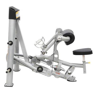 Commercial Fitness Equipment Biceps Curl Hammer Strength Gym Equipment