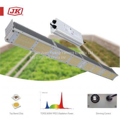 LED Grow Light